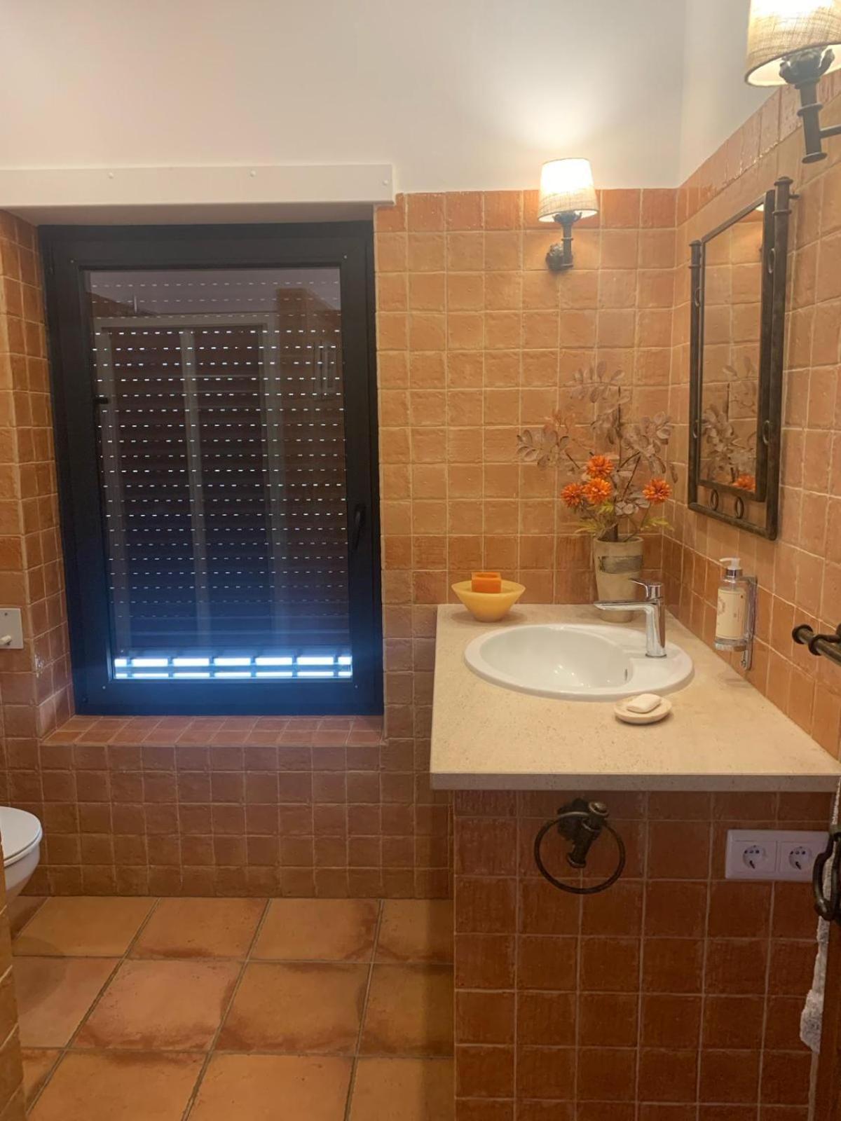 קוביליה Quinta Dos Cedros L Turismo Rural מראה חיצוני תמונה