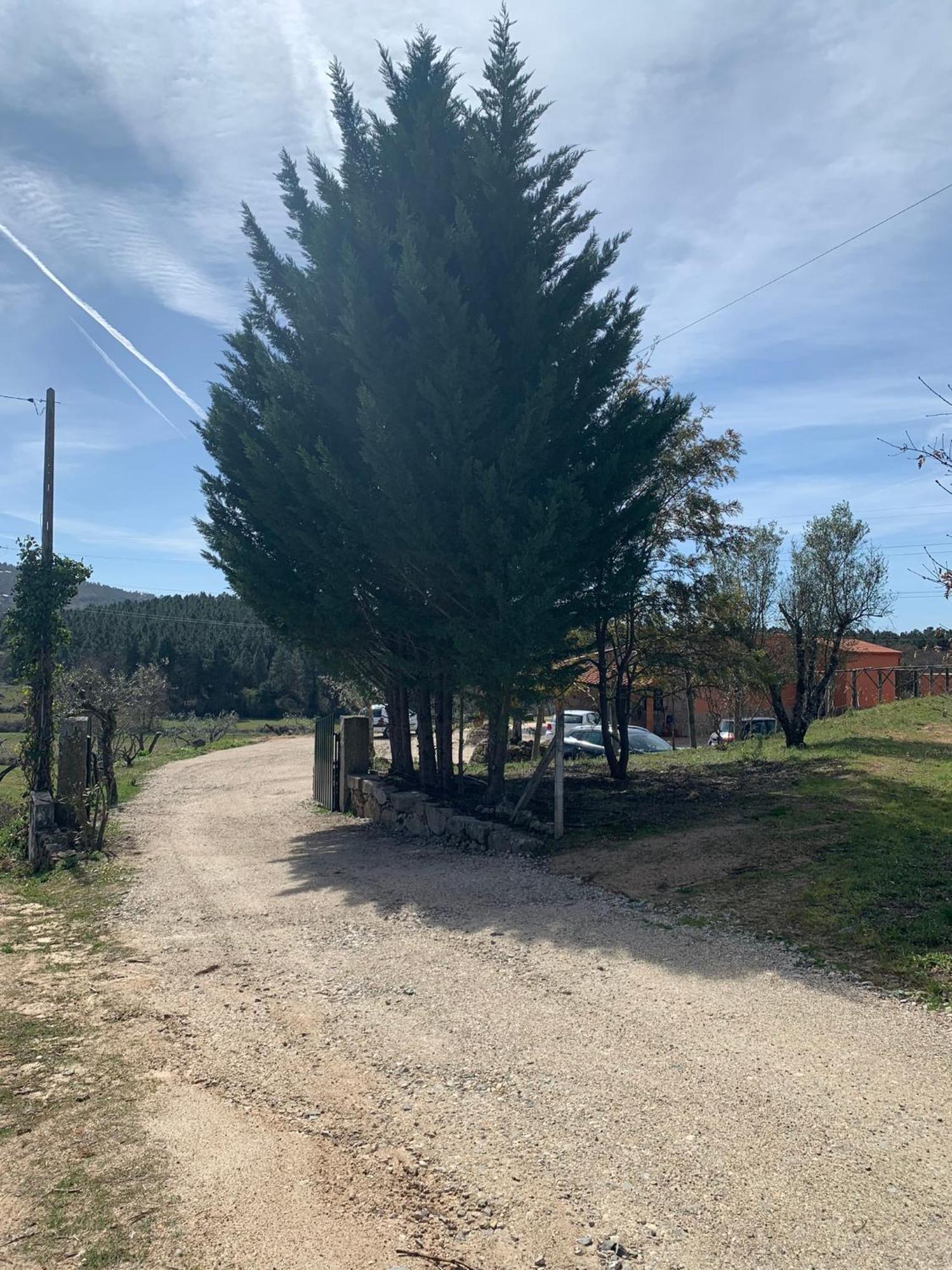 קוביליה Quinta Dos Cedros L Turismo Rural מראה חיצוני תמונה