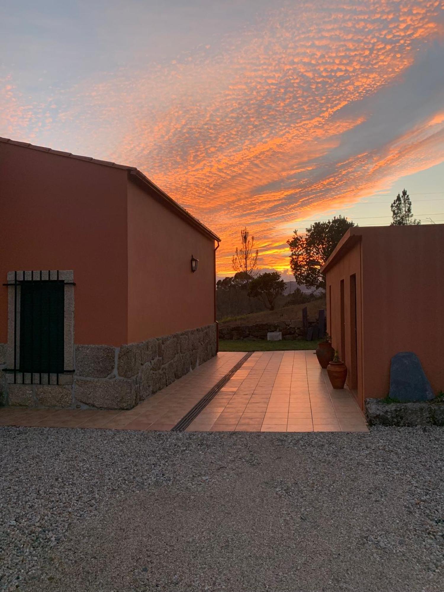 קוביליה Quinta Dos Cedros L Turismo Rural מראה חיצוני תמונה