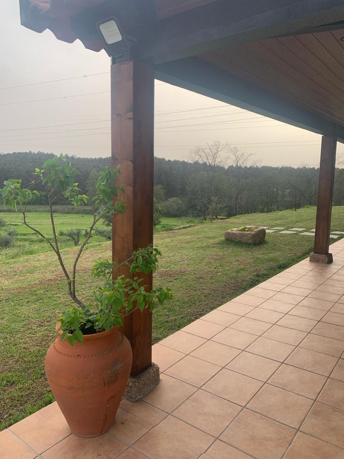 קוביליה Quinta Dos Cedros L Turismo Rural מראה חיצוני תמונה